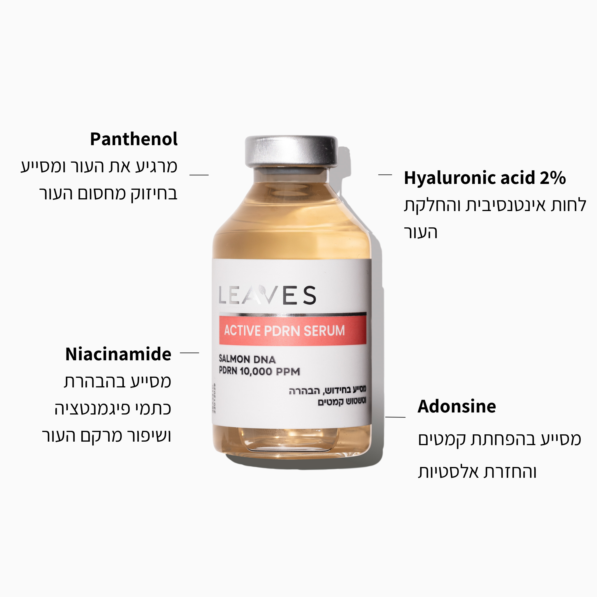סרום ACTIVE PDRN פעיל 10,000 PPM