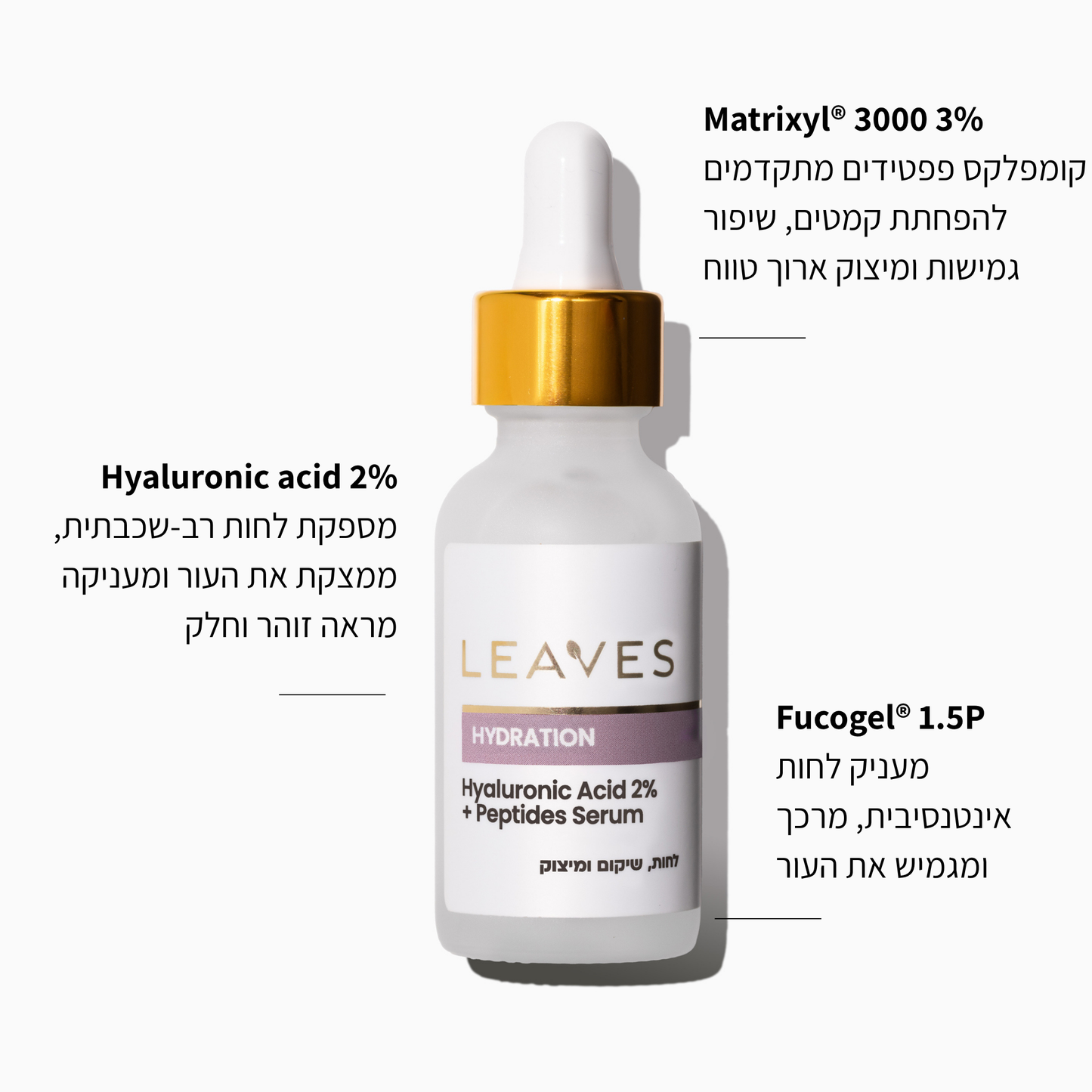 סרום Hydration חומצה היאלורונית 2% + פפטידים - LEAVES
