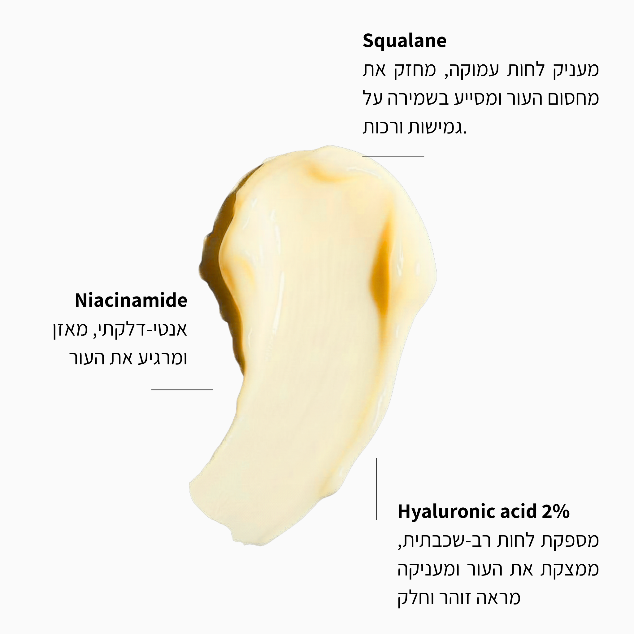 פריימר גלואו ולחות לפנים - LEAVES